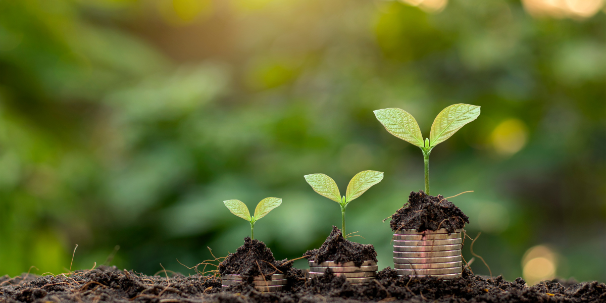 Princípios da riqueza